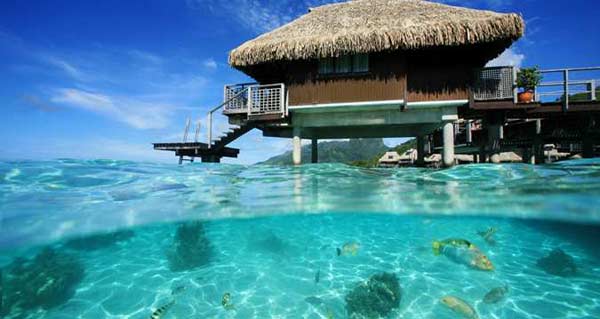 Overwater Bungalows Hilton Moorea