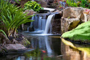 The Westin Maui Resort and Spa- Hawaii Vacation