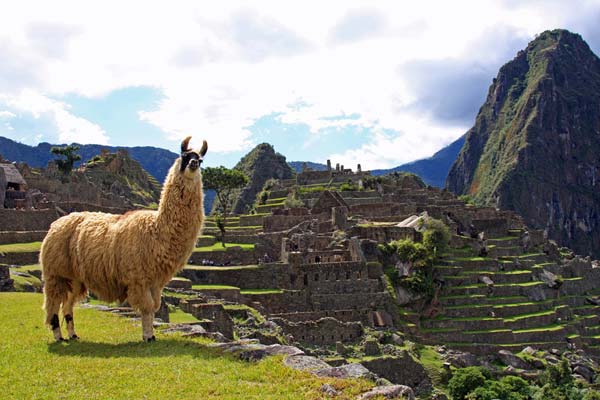 Machu Picchu Vacation 