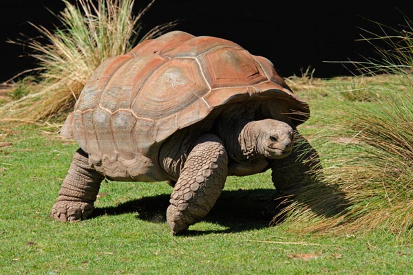 Adventure Cruise of the Galápagos Islands