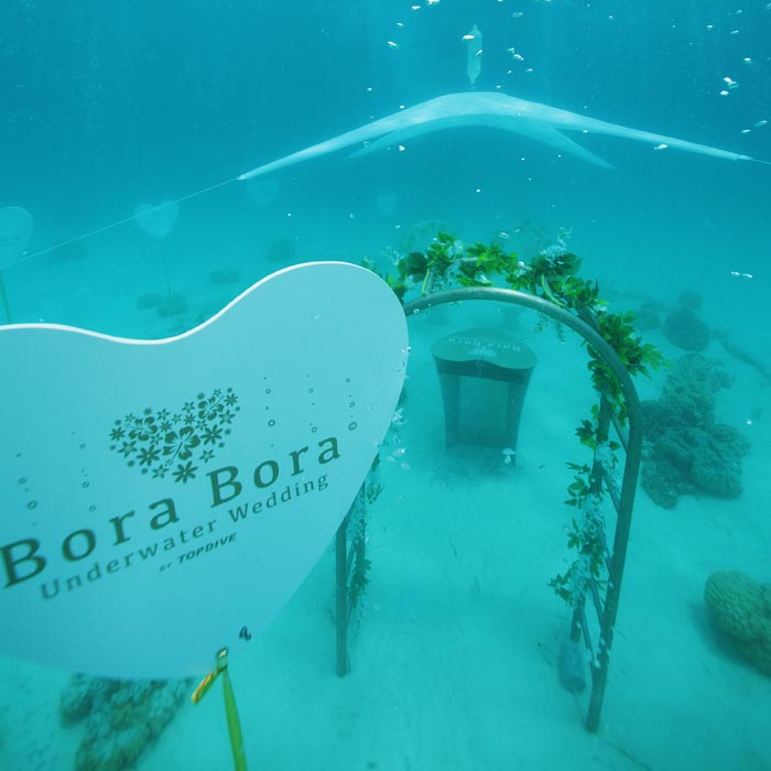 Bora Bora Underwater Wedding