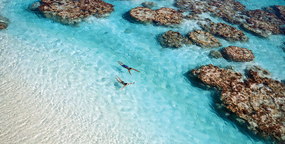 Swimming, Snorkeling and Scuba Diving are just some of the activities to enjoy on your Tahiti Vacation to The Brando