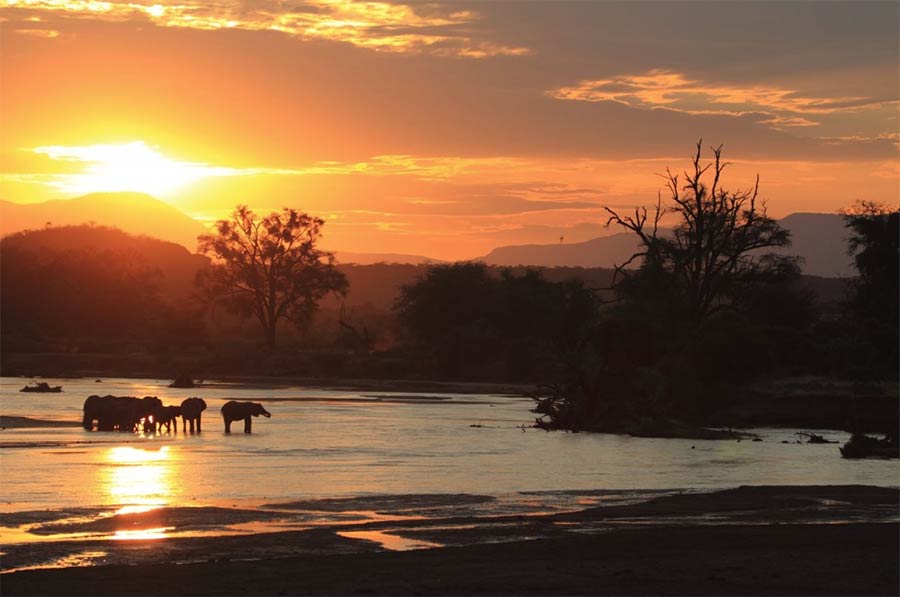 Photo Safari at Samburu National Reserve