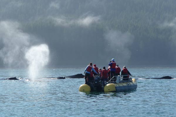 Get adventurous on a skiff excursion on your Alaska Cruise