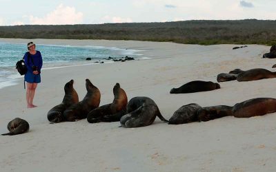 Galapagos Island Cruise with UnCruise Adventures