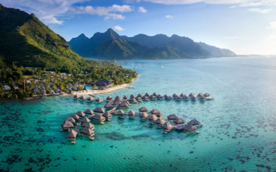 Discover Moorea: Island Hotels & Excursions in the Heart of French Polynesia