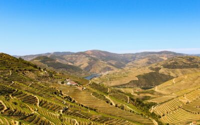 Portugal Luxury Travel: Journey from Douro Valley to Porto, through the Algarve region, and beyond